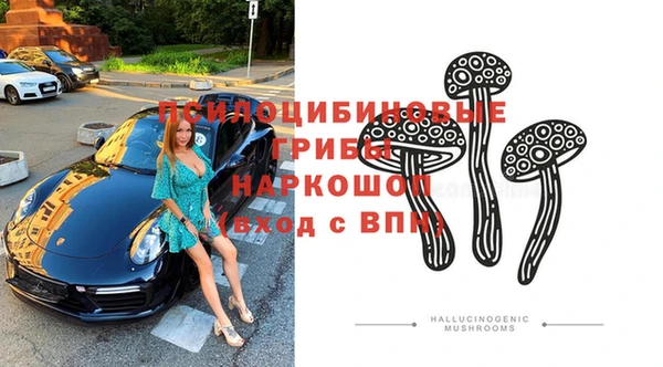 стафф Карпинск
